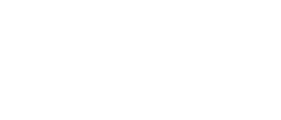 Nettuno Srl