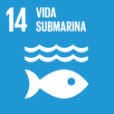 icone-agenda2030-ES-08