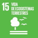 icone-agenda2030-ES-09