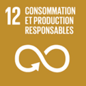 icone-agenda2030-FR-06