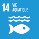 icone-agenda2030-FR-08