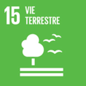 icone-agenda2030-FR-09