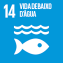 icone-agenda2030-PT-08